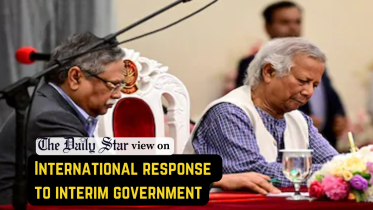 International response to interim government