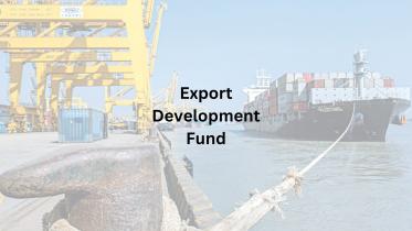 $600 million taken in loans from Export Development Fund defaulted