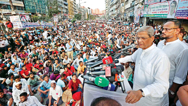 bnp.jpg