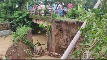 bridge_collapsed.jpg