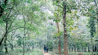 botanical_garden.jpg