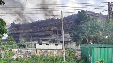 factory2.jpg