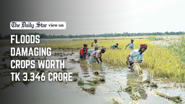 Floods Damaging Crops Worth TK 3.346 Cr