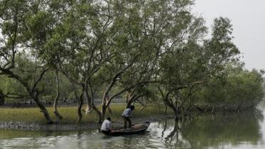 If forests and wildlife habitats are to exist, necessary legal power needs to be given to stop encroachment and protect them. FILE PHOTO: REUTERS