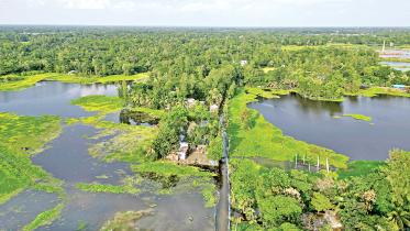 senbag-noakhali.jpg