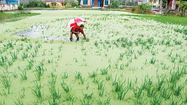 khulna.jpg