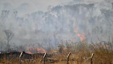 brazilian_fire.jpg