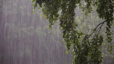 rain.jpg