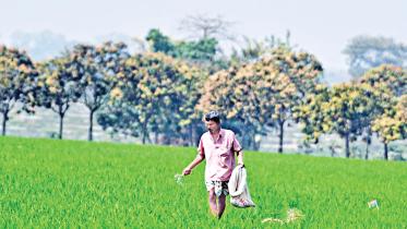 farmer-and-fertilizer.jpg