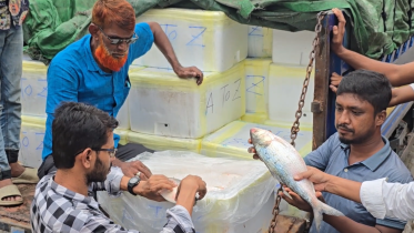 Bangladesh's Hilsa Shipment to India for Durga Puja 2024