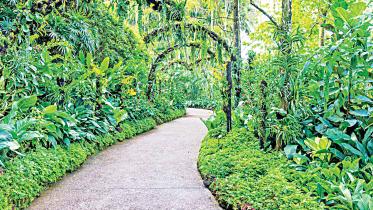 botanical-marvels-01.jpg