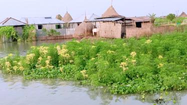lalmonirhat_flood-03.jpg