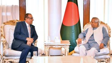 Palestinian ambassador calls on Prof Yunus