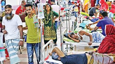 dengue.jpg