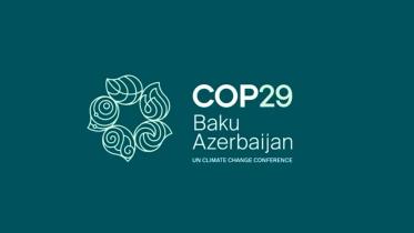 cop29_summit.jpg