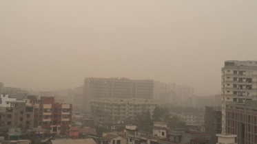 fog-2wb.jpg