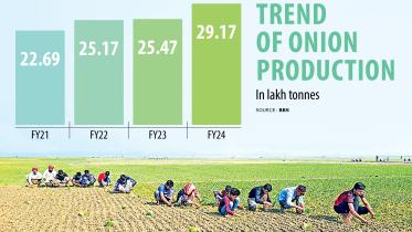 onion production costs in Bangladesh 2024