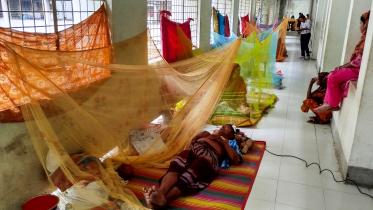 khulna-dengue-kmch