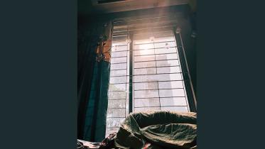 window.jpg