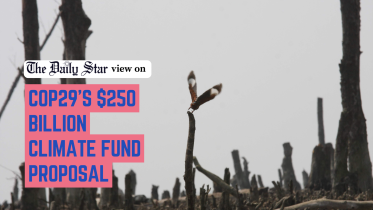 COP29’s $250 billion climate fund proposal,