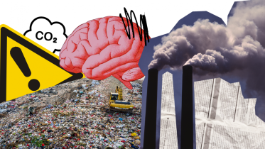 Air pollution