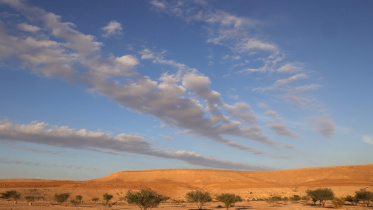 saudi-draught.jpg