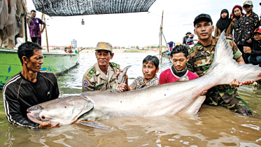 cambodia.jpg