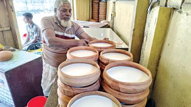 moisha-dahi.jpg