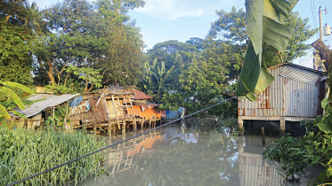 patuakhali.jpg