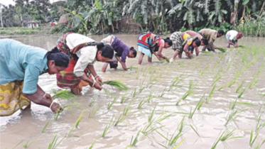 Time to recognise women's contribution in agriculture