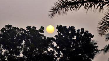 morning_sun_2025.jpg