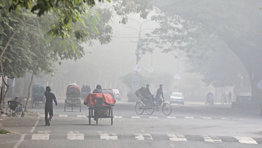 foggy.jpg