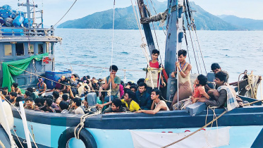 picmigrant.jpg