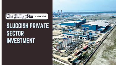 Sluggish private sector investment Bangladesh,