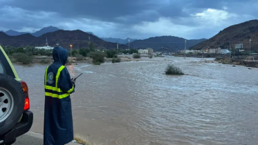 tds_2.png