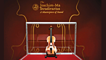 rare-violin.jpg