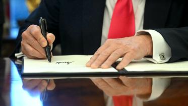 trump_signs.jpg