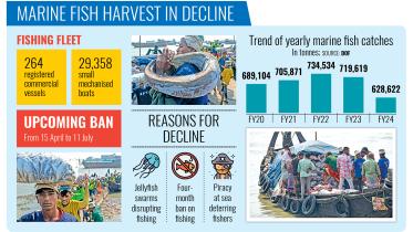 marine-fish-harvest.jpg