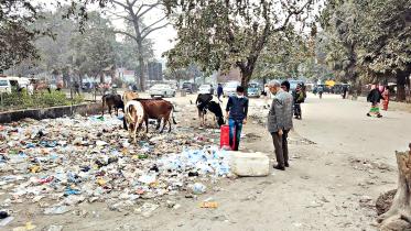 rangpur-medical-college-waste.jpg