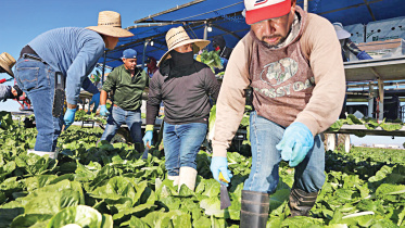 us-food-producing-state.jpg