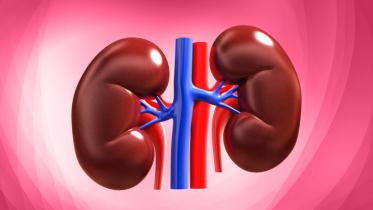kidney.jpg