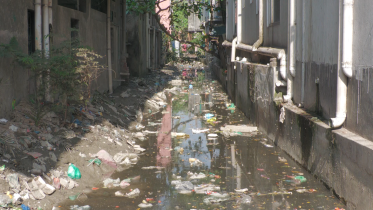 bagerhat.png