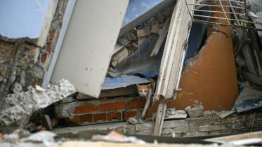 afp_20250330_38ev8fg_v2_preview_topshotmyanmarthailandquake.jpg