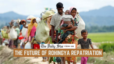 Rohingya repatriation