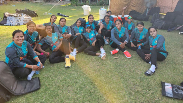tigresses_1.jpg