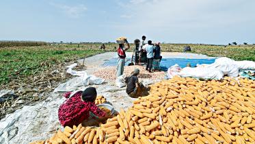 vegetables-grown.jpg