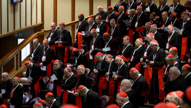 2025-04-28t102729z_1915840367_rc2w6eaja9rd_rtrmadp_3_pope-succession-cardinals.jpg