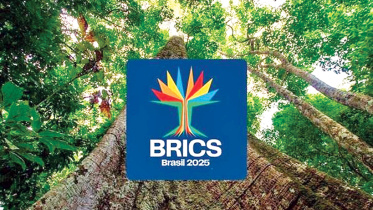 brics.jpg