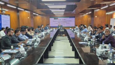 startup_bd_ecosystem_roadmap