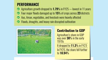 agriculture-growth.jpg